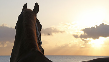 Longines Global Champions Tour of Miami Beach in images