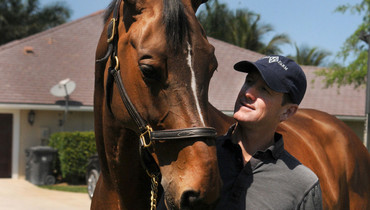 McLain Ward: “In HH Azur we found something very special”