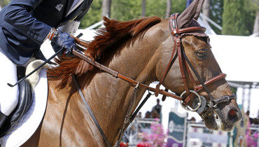 France sticks to the lead of Europe Division 1