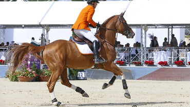 The teams, riders and horses for CSIO5* Rotterdam
