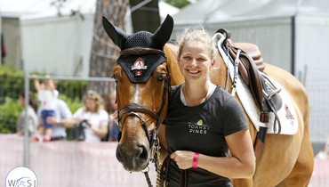Images | Horses and grooms at Piazza di Siena