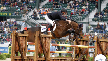From youngster to international Grand Prix horse: Vivant