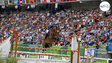 Vivant van de Heffinck sold to Coolballyshan Stud in Ireland