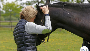 Visiting Beezie Madden | Part one