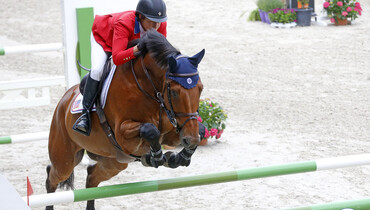 The horses and riders for CSI5* Treffen