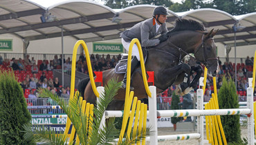 Spartacus TN dies after a colic attack