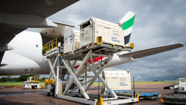 Countdown to Rio: Flying facts | How do the horses travel to Rio?
