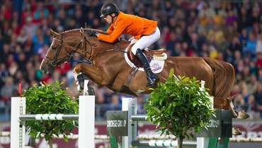 Embryo from the Olympic stallion Emerald out of the dam of a.o. Echo van ‘t Spieveld