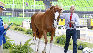 All horses pass the final inspection in Rio