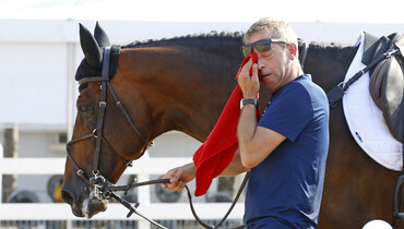 Mark Beever nominated for the FEI Award for Best Groom 2016