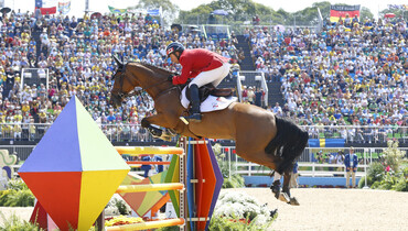 From youngster to international Grand Prix horse: Fine Lady 5