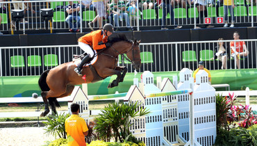 The SFN Auction: A review and video of the top-class horses on offer