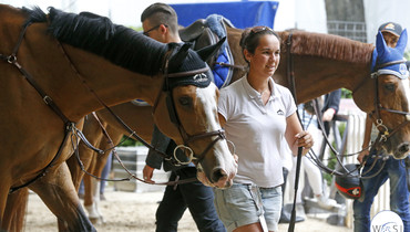 Leila Chew: From violinist and pig farming to professional groom