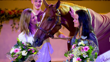 Record breaking edition of the Dutch Sport Horse Sales with Cherry Tania as top-seller at 385.000 Euros