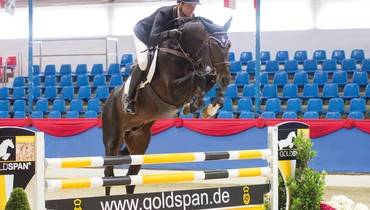 It’s Time to Fly: The Oldenburg Fall Elite Auction in Vechta
