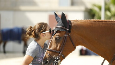 Images | Beautiful horses in Barcelona