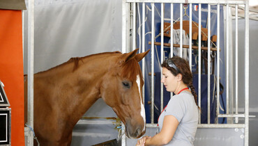 A walk around the stables at CSIO3*-W Rabat