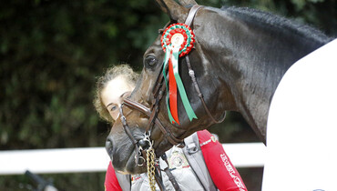 Images | Team Belgium's Nations Cup victory in Rabat