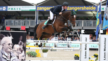 World Champion Killossery Kaiden to be sold at Goresbridge Supreme Sale of Showjumpers