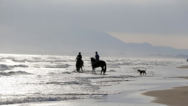 Beach life at the Mediterranean Equestrian Tour