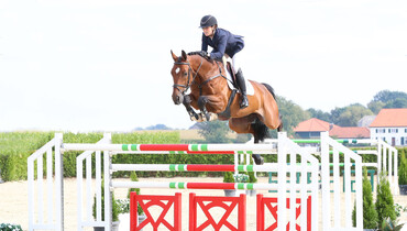 Holger Hetzel Sport Horse Sales presents: Deluxe Edition (Catoki x Landsieger x Zeolit)