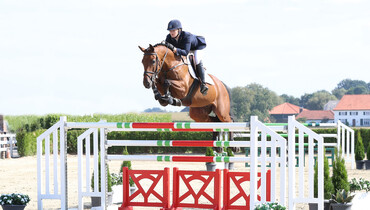 Holger Hetzel Sport Horse Sales presents: Mac Uwe (Cayado x Salient)