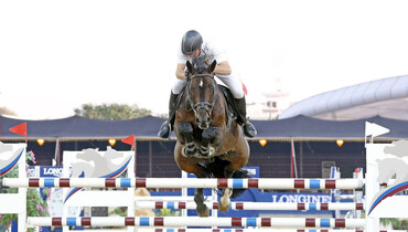 John Whitaker and Argento to the top at the LGCT in Doha