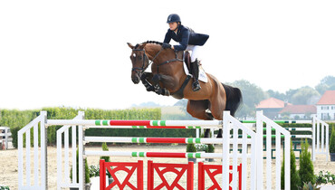 Holger Hetzel Sport Horse Sales presents: Extra (Clarimo x Lerano)