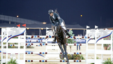 Congratulation Rolf and Casall Ask!