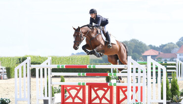 Holger Hetzel Sport Horse Sales presents: Mountain Man (Tangelo van de Zuuthoeve x Thunder van de Zuuthoeve)