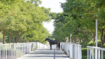 Images | Out and about at the LGCT of Doha - Part two