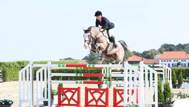 Holger Hetzel Sport Horse Sales presents: Hulapalu (Heartbeat x Carano)