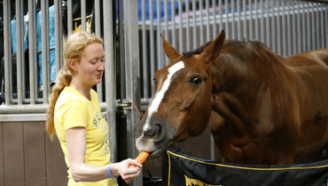 Images | A tour around the stables at LGCT Doha