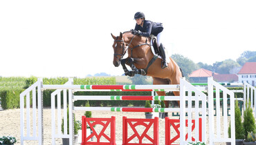 Holger Hetzel Sport Horse Sales presents: Girl on Fire (Van Gogh x A Hold Up Premier)
