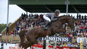Jerome Guery takes over the reins on Giovanni van het Scheefkasteel