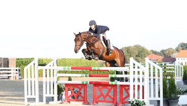 Holger Hetzel Sport Horse Sales presents: Billie Jean (Wup x Ferro)