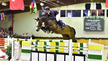 Does the apple fall far from the tree? Balou du Rouet and some of his offspring