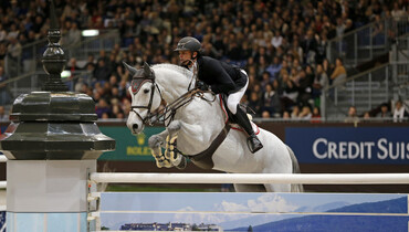 Papillon Z retires from the sport