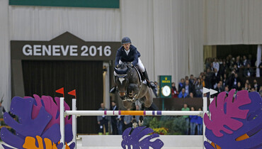 Cas de Liberte Z 2016 Horse of the Year in Belgium
