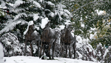 Have a wonderful Christmas!