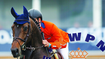 The 2017 KWPN Select Sale:  Future stars - Exclusive opportunities