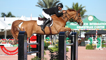 Todd Minikus and Zephyr top Douglas Elliman at the 2017 Winter Equestrian Festival