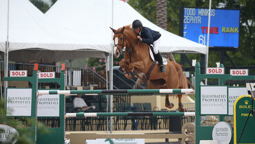 Minikus and Zephyr take second win of week three at the 2017 Winter Equestrian Festival
