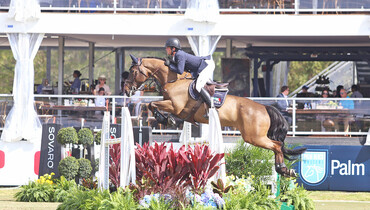 Darragh Kenny and Taylor Land victorious in 'Upperville Colt and Horse Show' at CP Palm Beach Masters