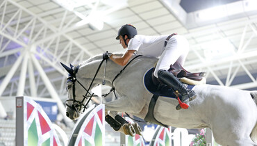 Mental Equipment: The tools of sports psychology in showjumping