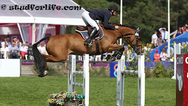 Urcos de Kerglenn HDC to Haras des Coudrettes