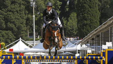 From youngster to international Grand Prix horse: Bianca