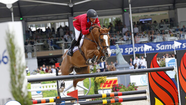 From youngster to international Grand Prix horse: Creedance