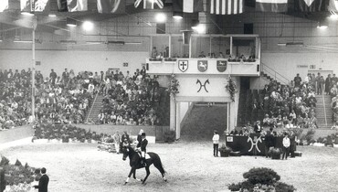Verden Auctions: Top seller for more than 60 years