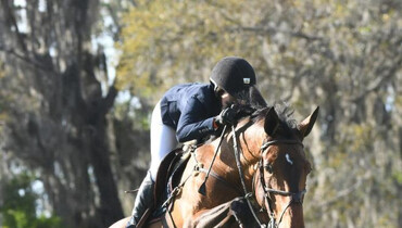 Springsteen rocks in the Hollow Creek Farm CSI3* at Live Oak International